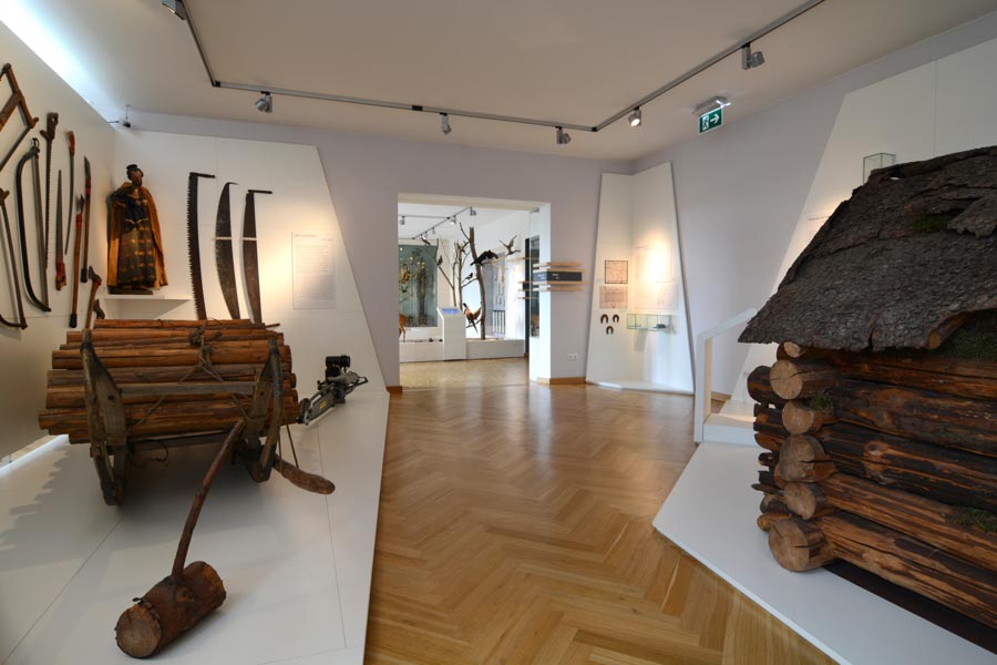 Ausstellungsgestaltung Waldmuseum Zwiesel