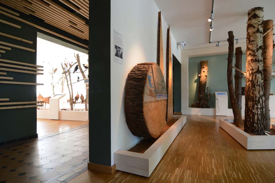 Ausstellungsgestaltung Waldmuseum Zwiesel